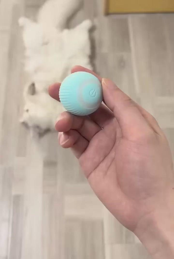 Interactive pets Toy Ball